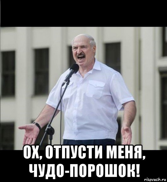  ох, отпусти меня, чудо-порошок!, Мем Бацька сказал
