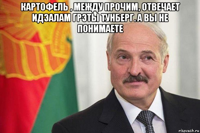 картофель , между прочим, отвечает идэалам грэты тунберг. а вы не понимаете , Мем БАТЬКА ВЕРНУЛСЯ