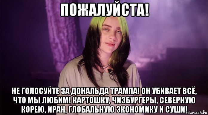 пожалуйста! не голосуйте за дональда трампа! он убивает всё, что мы любим! картошку, чизбургеры, северную корею, иран, глобальную экономику и суши!, Мем Billy Eilish