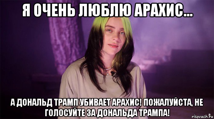 я очень люблю арахис... а дональд трамп убивает арахис! пожалуйста, не голосуйте за дональда трампа!, Мем Billy Eilish