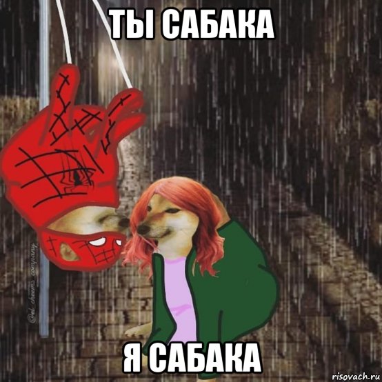 ты сабака я сабака, Мем Человек паук