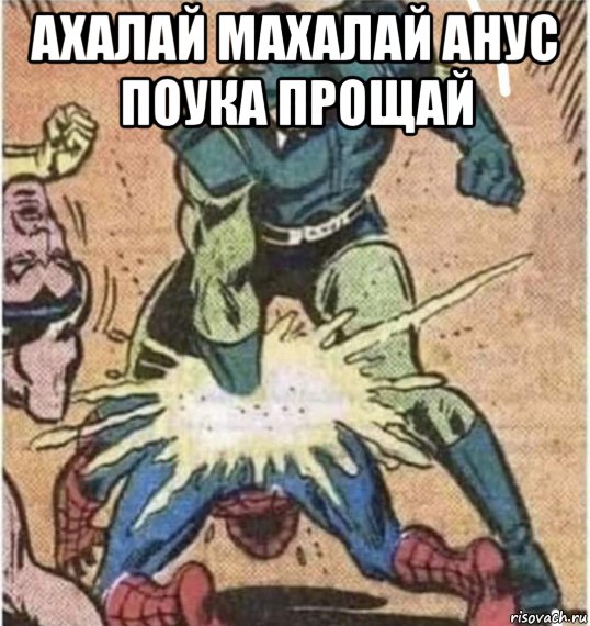 ахалай махалай анус поука прощай , Мем Человек паук