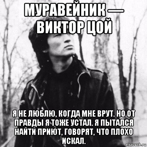 муравейник — виктор цой я не люблю, когда мне врут. но от правды я тоже устал. я пытался найти приют, говорят, что плохо искал., Мем Цой