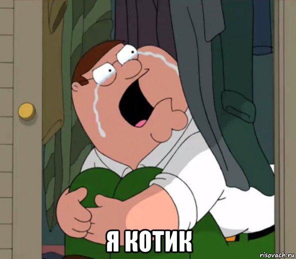  я котик