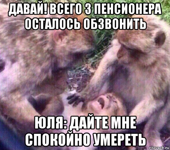 давай! всего 3 пенсионера осталось обзвонить юля: дайте мне спокойно умереть