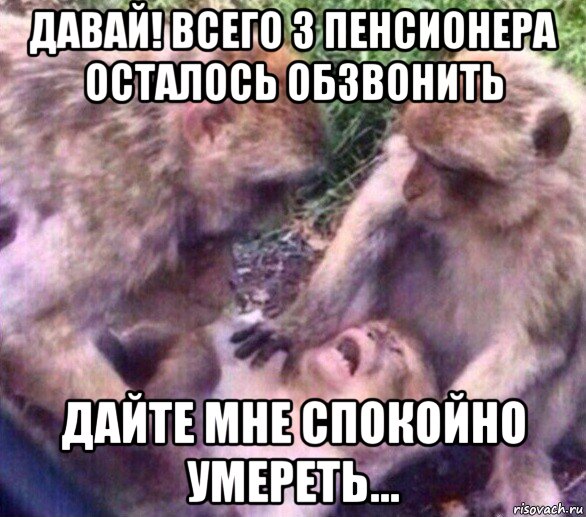давай! всего 3 пенсионера осталось обзвонить дайте мне спокойно умереть...