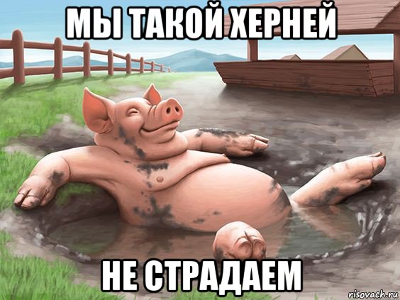 мы такой херней не страдаем