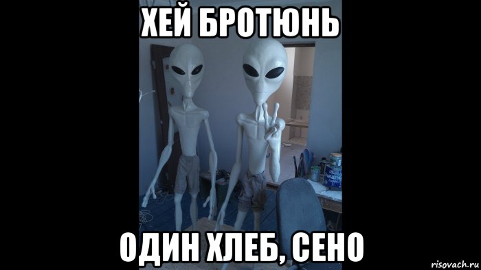 хей бротюнь один хлеб, сено