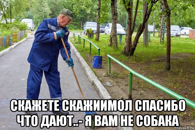  скажете скажиимол спасибо что дают..- я вам не собака, Мем Дворник