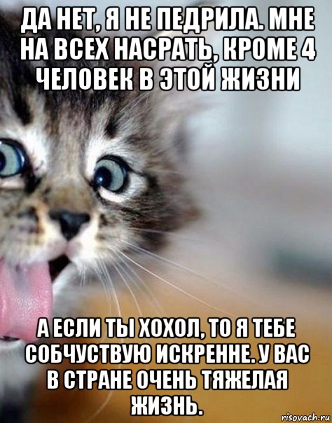 да нет, я не педрила. мне на всех насрать, кроме 4 человек в этой жизни а если ты хохол, то я тебе собчуствую искренне. у вас в стране очень тяжелая жизнь.