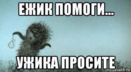 ежик помоги... ужика просите, Мем Ежик