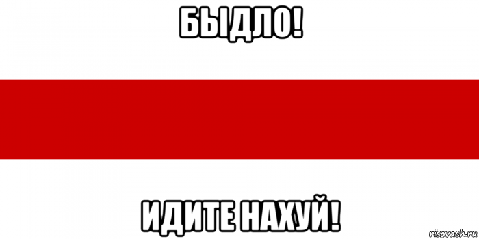 быдло! идите нахуй!, Мем Флаг Белорусской Народной Республики 1918