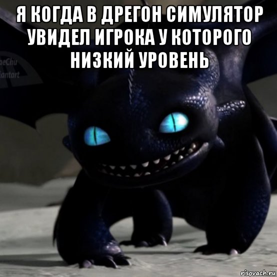 я когда в дрегон симулятор увидел игрока у которого низкий уровень 