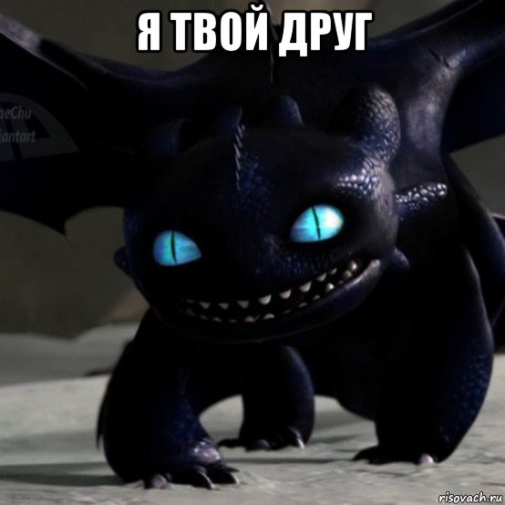 я твой друг 
