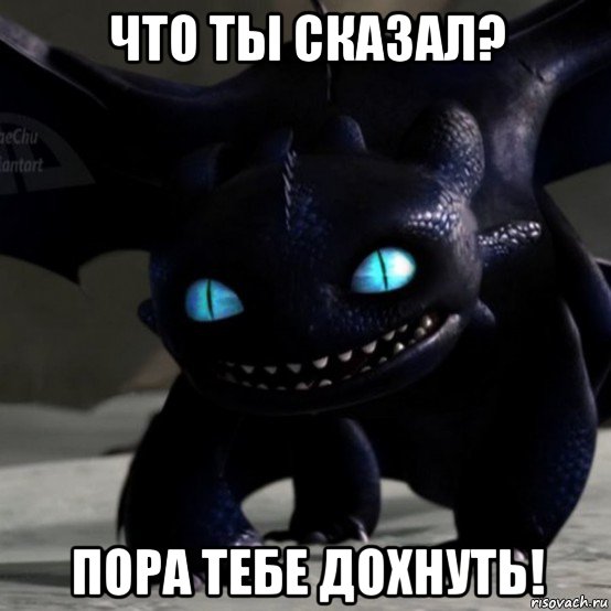 что ты сказал? пора тебе дохнуть!