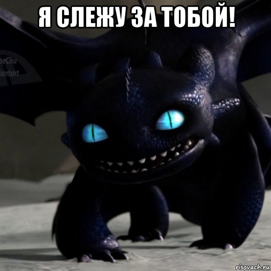я слежу за тобой! 