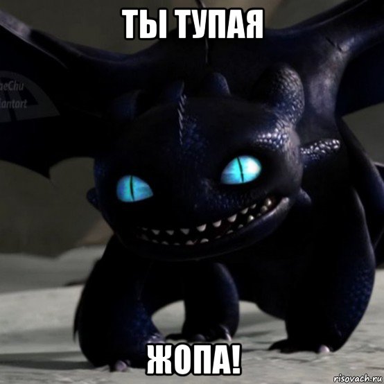 ты тупая жопа!