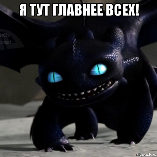 я тут главнее всех! 