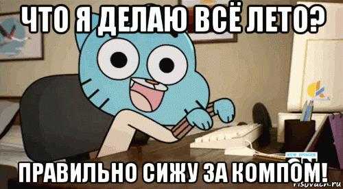 что я делаю всё лето? правильно сижу за компом!, Мем Гамбол за копьютером