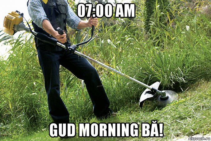 07:00 am gud morning bă!, Мем Газон