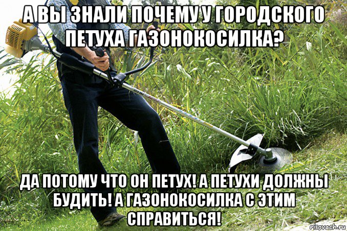 а вы знали почему у городского петуха газонокосилка? да потому что он петух! а петухи должны будить! а газонокосилка с этим справиться!, Мем Газон