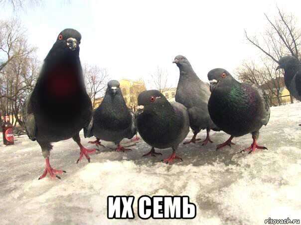  их семь