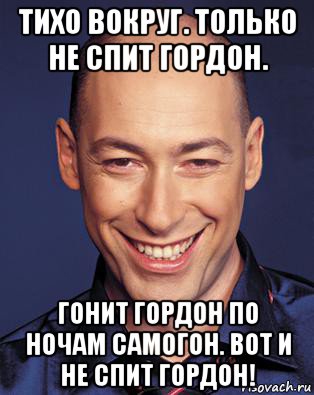 тихо вокруг. только не спит гордон. гонит гордон по ночам самогон. вот и не спит гордон!, Мем Гордон
