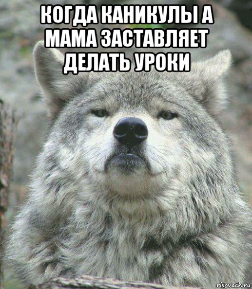когда каникулы а мама заставляет делать уроки , Мем    Гордый волк