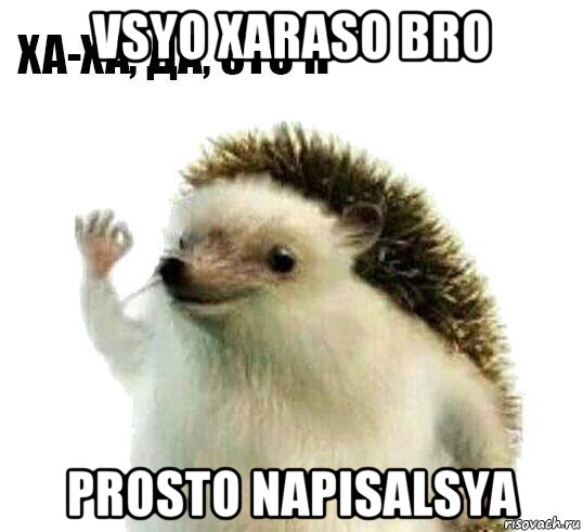 vsyo xaraso bro prosto napisalsya, Мем Ха-ха да это я