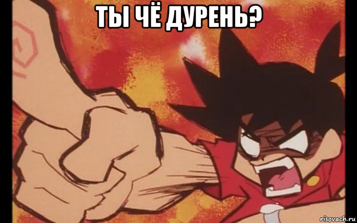 ты чё дурень? , Мем Ikki medabots