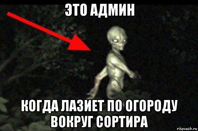 это админ когда лазиет по огороду вокруг сортира, Мем Инопланетянин