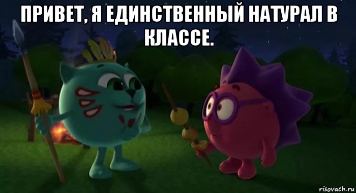 привет, я единственный натурал в классе. , Мем Каджит