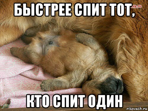 быстрее спит тот, кто спит один, Мем Как часто вижу я сон