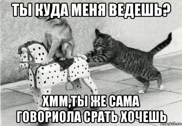 ты куда меня ведешь? хмм,ты же сама говориола срать хочешь