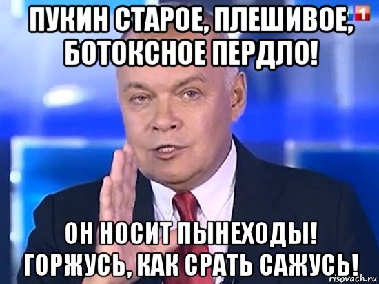 пукин старое, плешивое, ботоксное пердло! он носит пынеходы! горжусь, как срать сажусь!, Мем Киселёв 2014