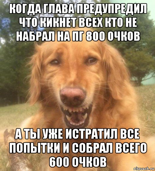 когда глава предупредил что кикнет всех кто не набрал на пг 800 очков а ты уже истратил все попытки и собрал всего 600 очков