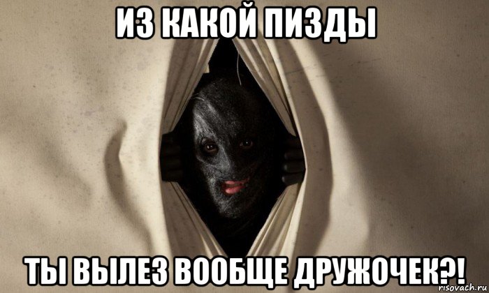 из какой пизды ты вылез вообще дружочек?!, Мем Коллекционер