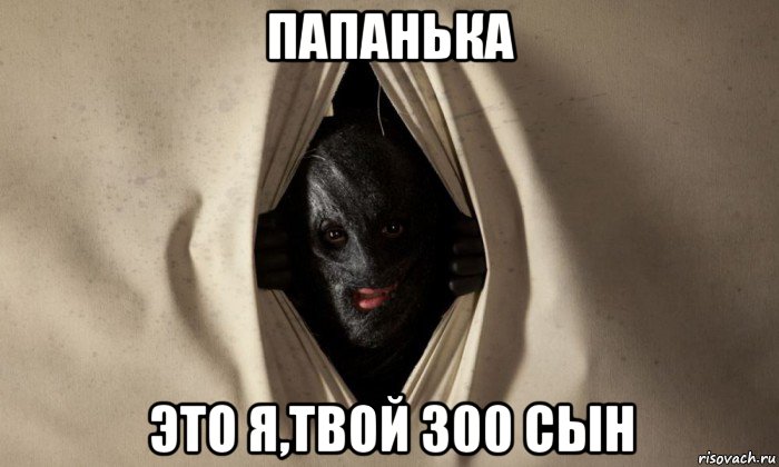 папанька это я,твой 300 сын, Мем Коллекционер