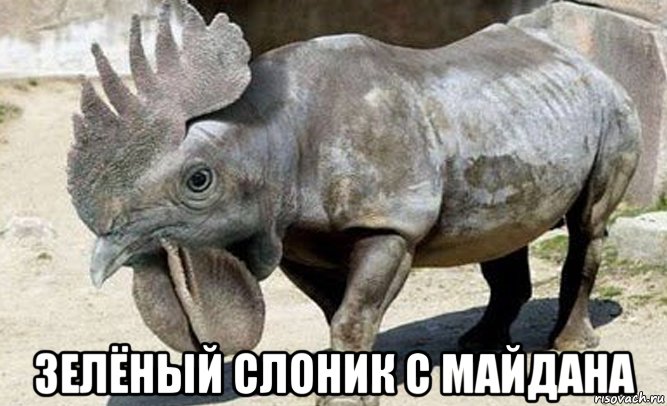  зелёный слоник с майдана, Мем Копытопетух