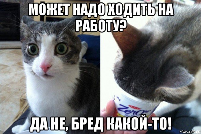 может надо ходить на работу? да не, бред какой-то!