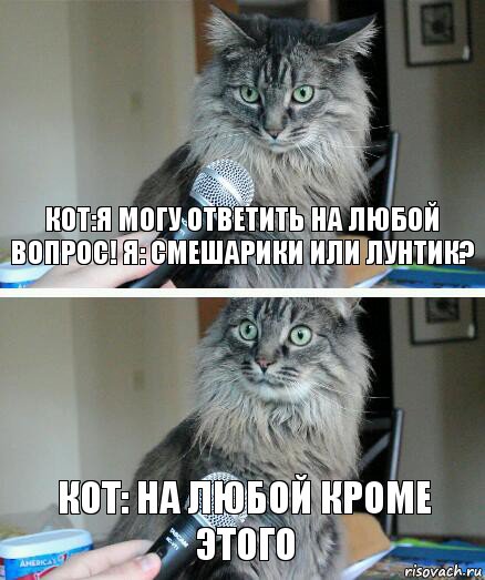 Кот:Я могу ответить на любой вопрос! Я: Смешарики или лунтик? кот: на любой кроме этого, Комикс  кот с микрофоном