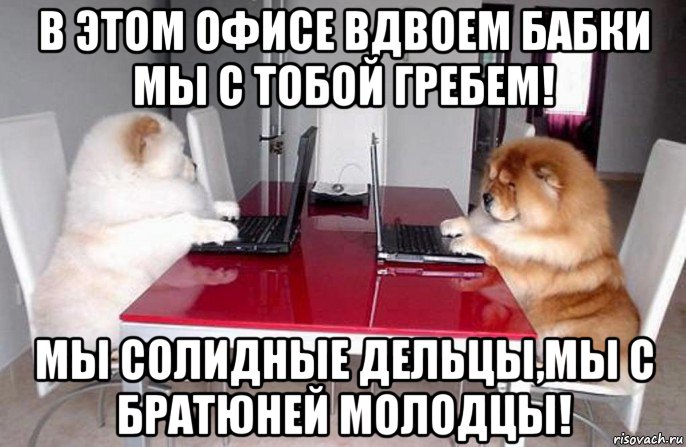 в этом офисе вдвоем бабки мы с тобой гребем! мы солидные дельцы,мы с братюней молодцы!, Мем Коворкинг