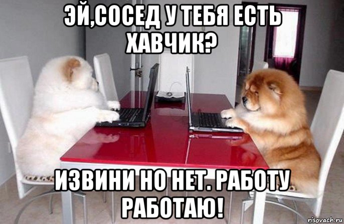 эй,сосед у тебя есть хавчик? извини но нет. работу работаю!, Мем Коворкинг