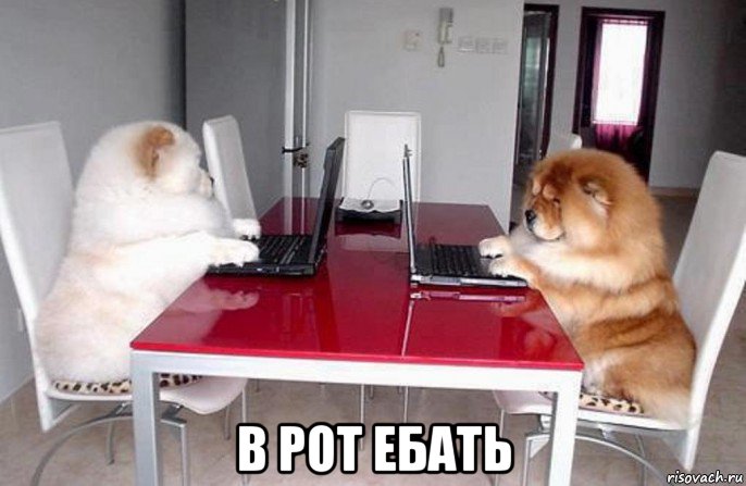 в рот ебать, Мем Коворкинг