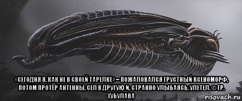  «сегодня я, как не в своей тарелке» − пожаловался грустный ксеноморф, потом протёр антенны, сел в другую и, странно улыбаясь, улетел. © гр. хубулава, Мем Ксено