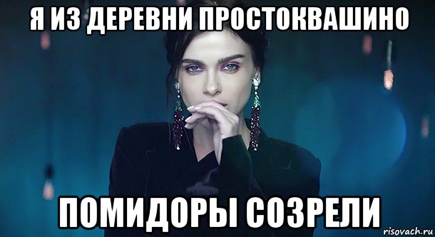 я из деревни простоквашино помидоры созрели