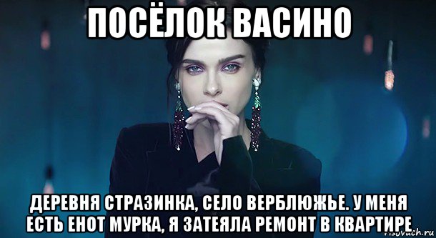 посёлок васино деревня стразинка, село верблюжье. у меня есть енот мурка, я затеяла ремонт в квартире