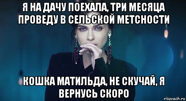 я на дачу поехала, три месяца проведу в сельской метсности кошка матильда, не скучай, я вернусь скоро