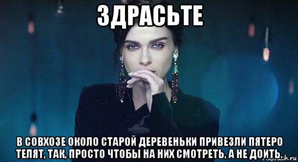 здрасьте в совхозе около старой деревеньки привезли пятеро телят, так, просто чтобы на них смотреть, а не доить.