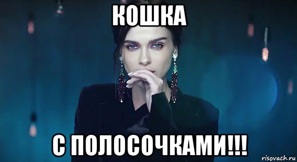 кошка с полосочками!!!